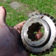 Illustration for article titled This Is What A Thoroughly Broken Manual Transmission Looks Like Insideem/em